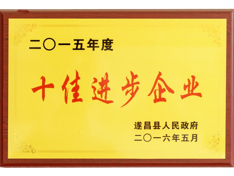 2015年度十佳進(jìn)步企業(yè)